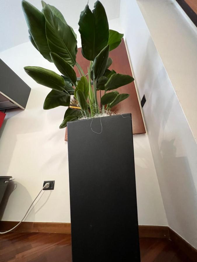 Effealatapartments - Appartamento Del Duca Senigallia Zewnętrze zdjęcie